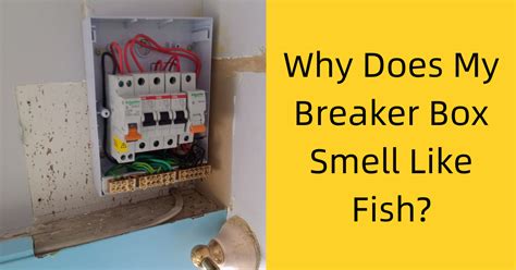 electric box smells|Why Does My Circuit Breaker Box Smell Like it’s .